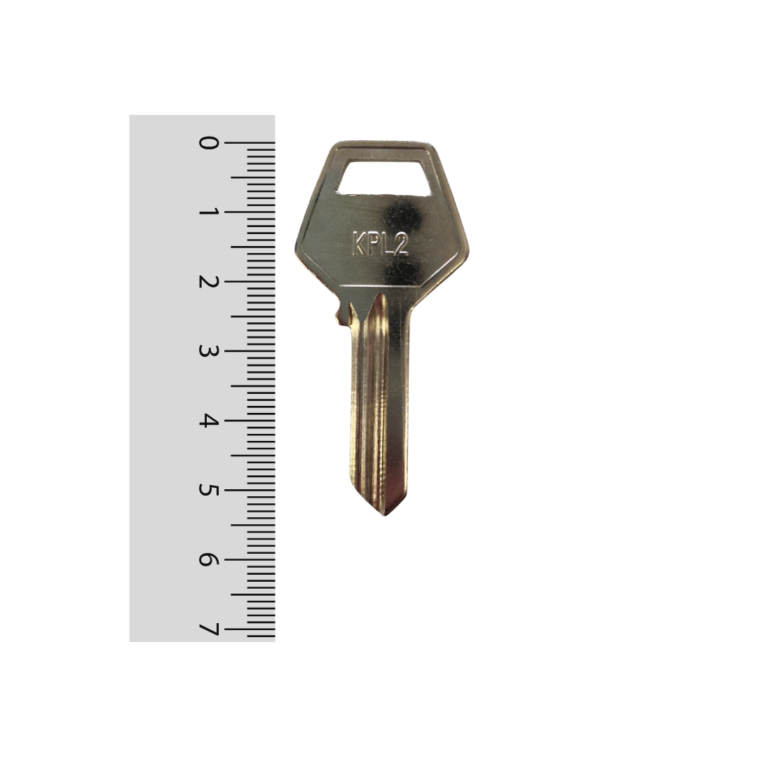 Paleta KPL2 Odis - 50 unidades