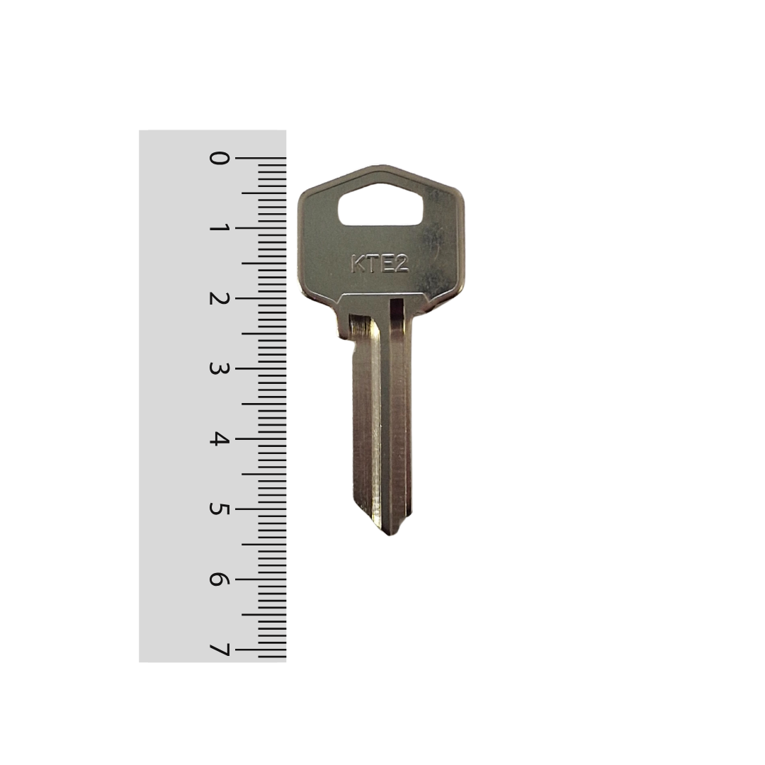 Paleta KTE2 Odis - 50 unidades