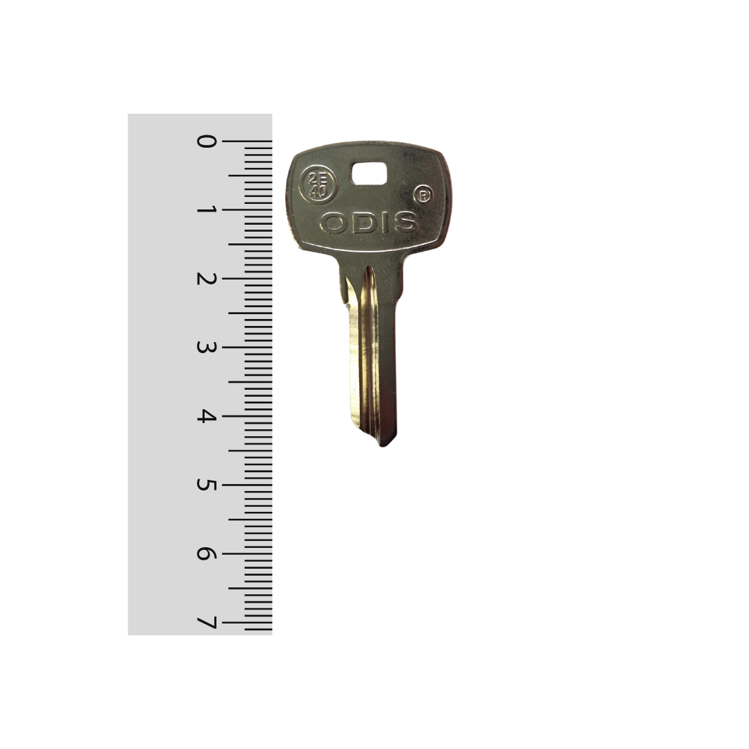 Paleta 2-E40 Odis - 50 unidades