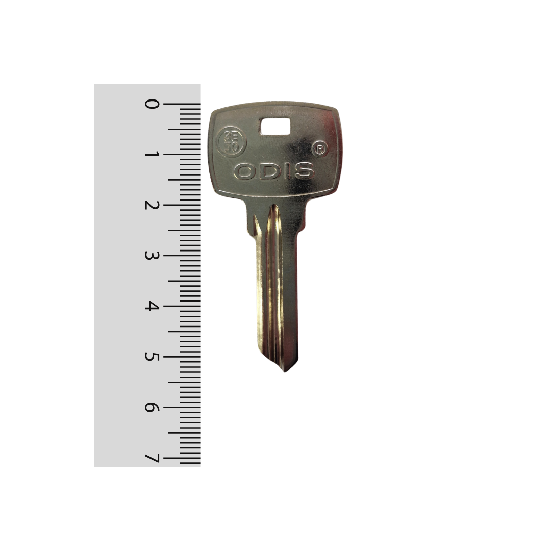 Paleta 3-E50 Odis - 50 unidades