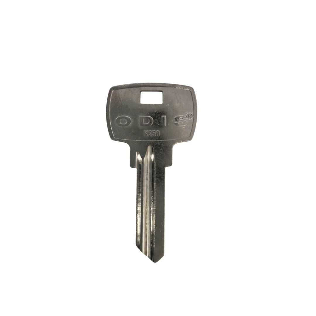 Paleta K250 Odis - 50 unidades