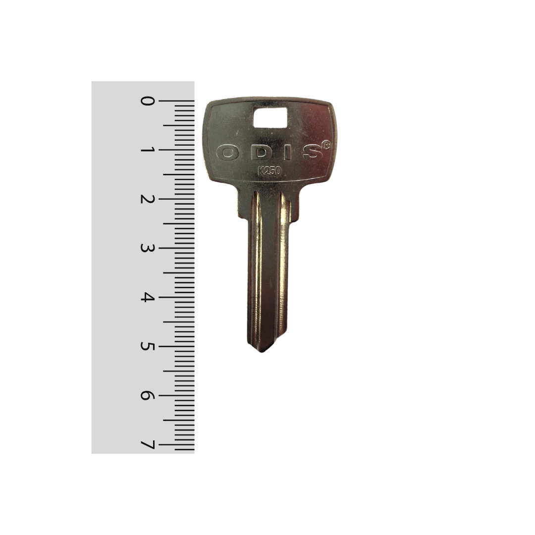 Paleta K250 Odis - 50 unidades