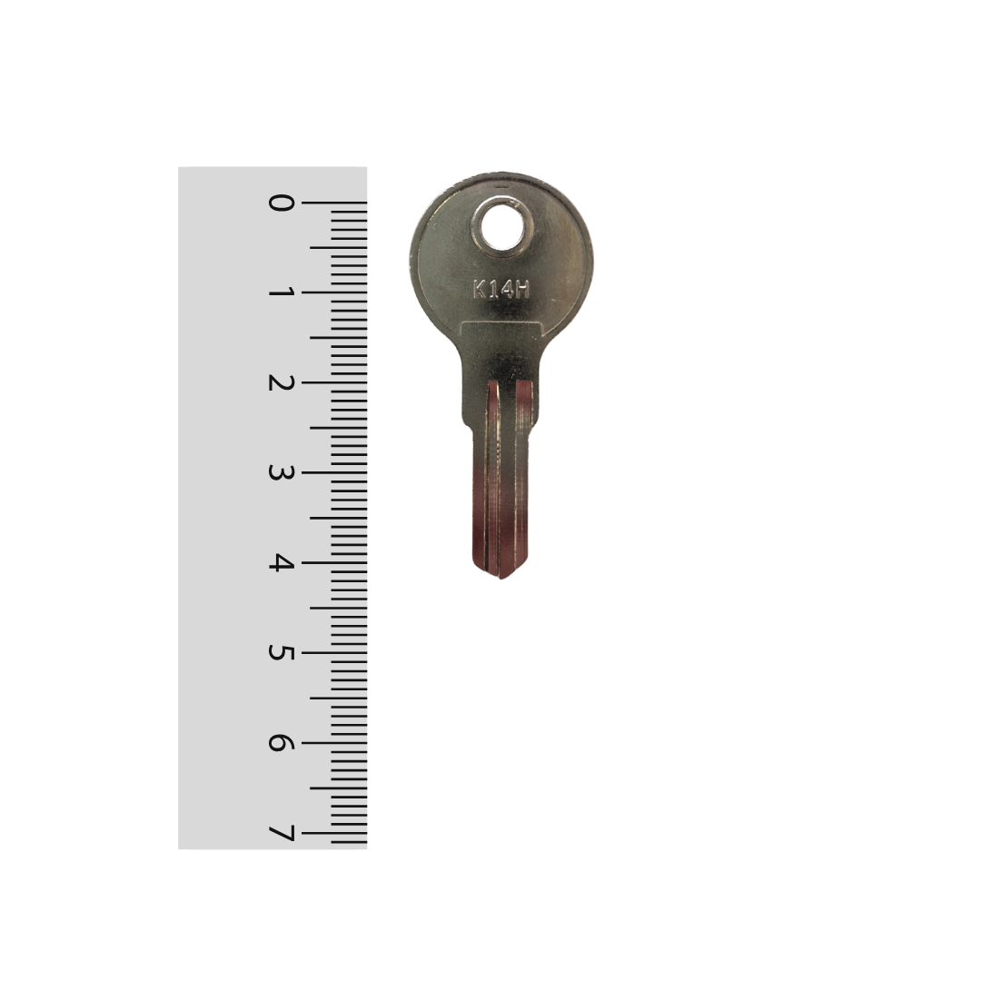 Paleta K14H Odis - 50 unidades