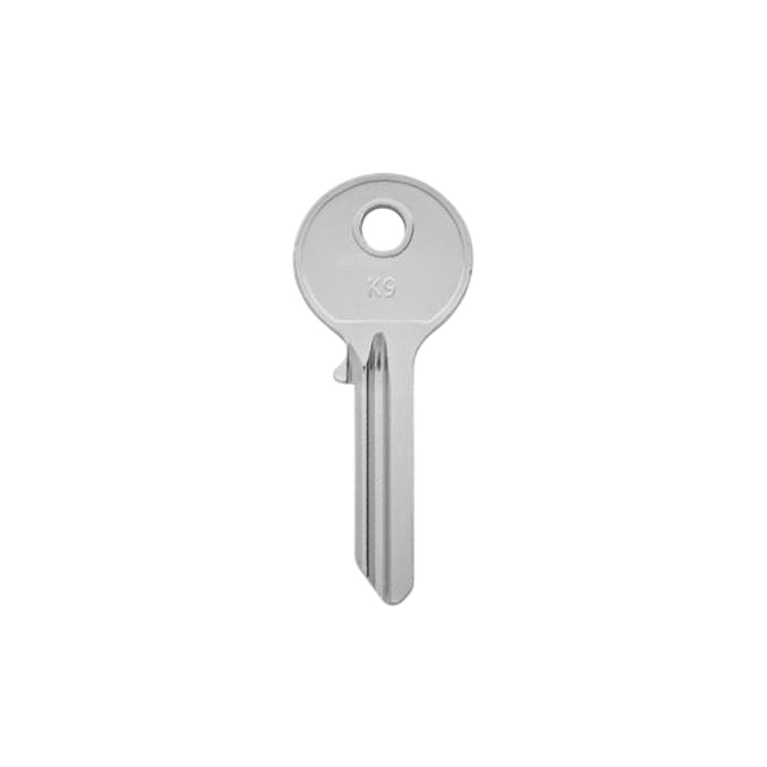 Paleta K9 Odis - 50 unidades