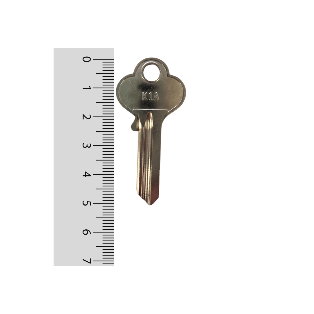 Paleta K1A Odis - 50 unidades
