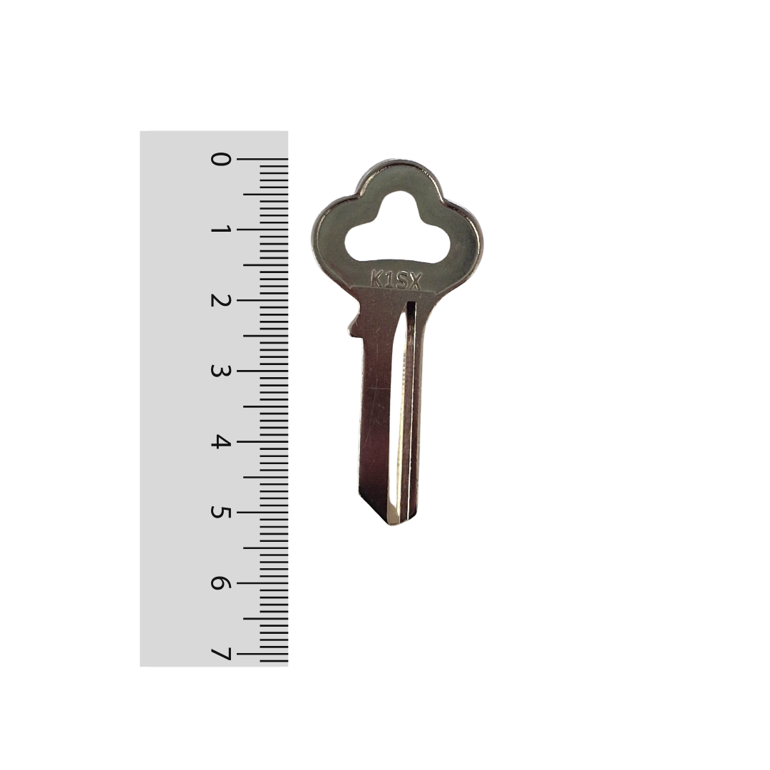 Paleta K1SX Odis - 50 unidades