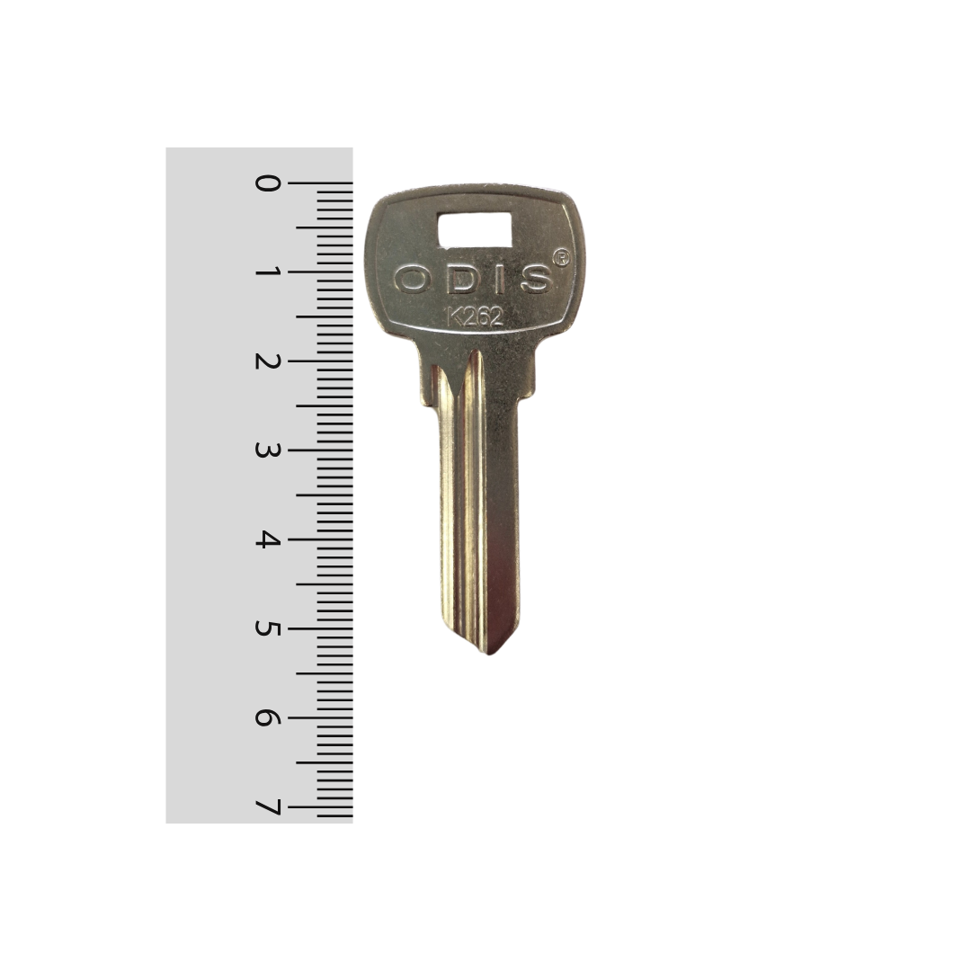 Paleta K262 Odis - 50 unidades