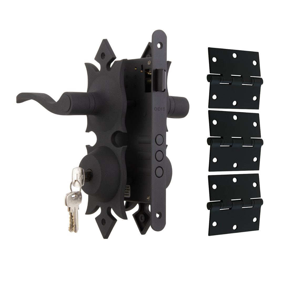 Pack Colonial: Cerradura Manilla Interior 216 + 3 Bisagras
