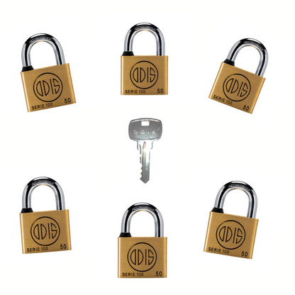 Pack de 6 Candado Amaestrado 150 - Entrega Inmediata 