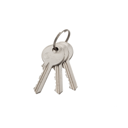 Cerradura Exterior Sobreponer Oister 111 con Caja Metálica para rejas o puertas metálicas