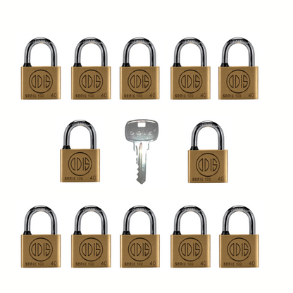 Pack de 12 Candado Amaestrado 140 - Entrega Inmediata 