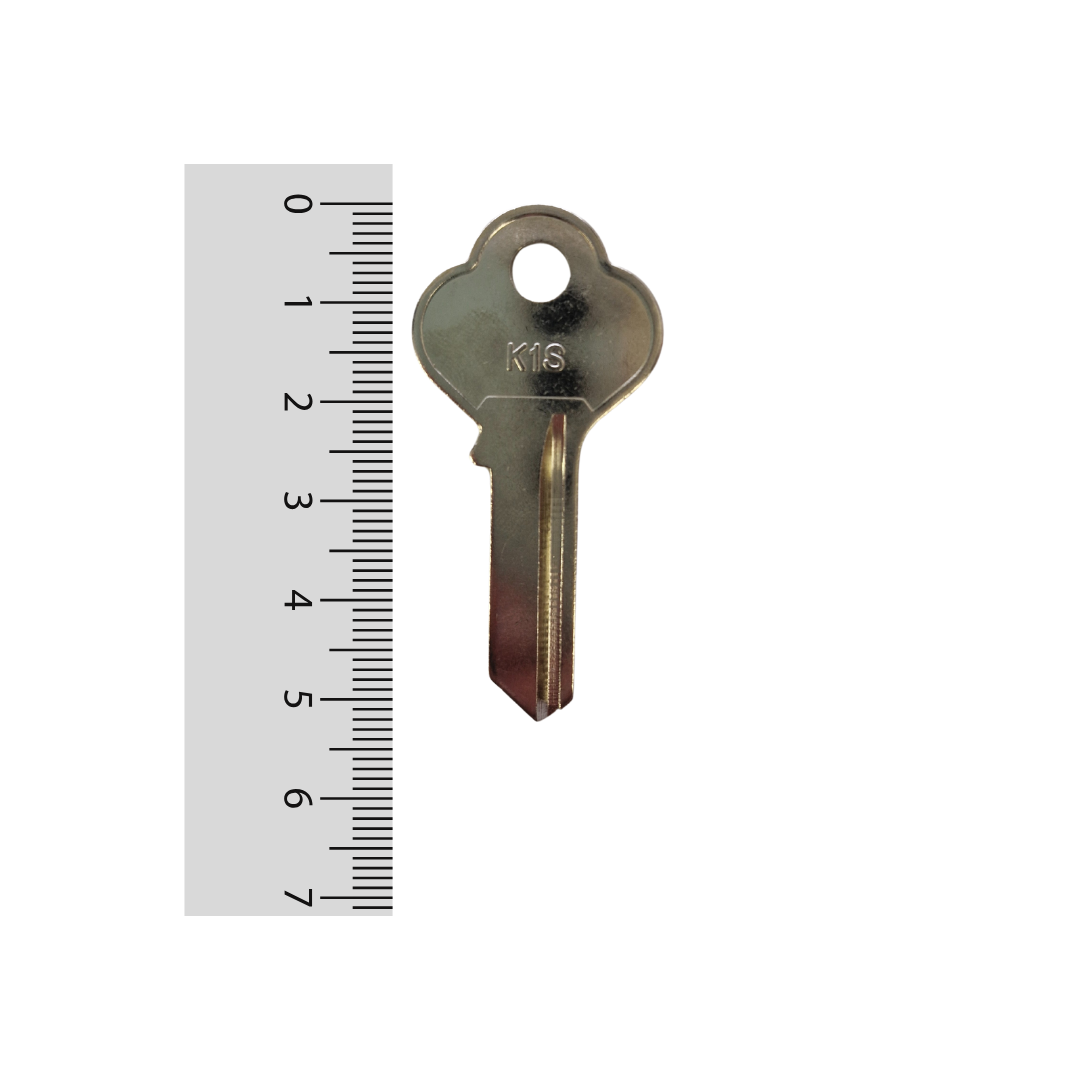 Paleta K1S Odis - 50 unidades