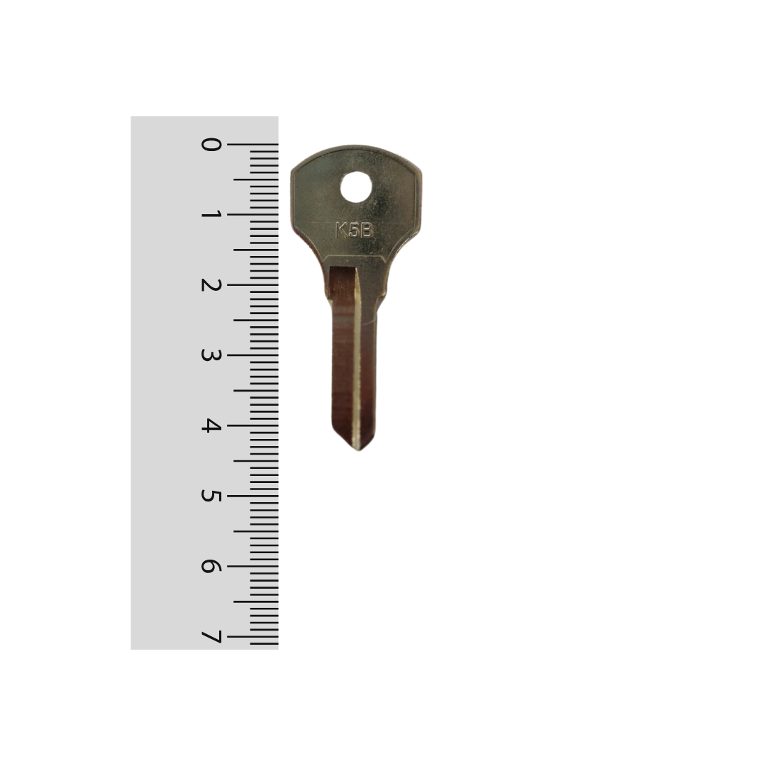 Paleta K5B Odis - 50 unidades