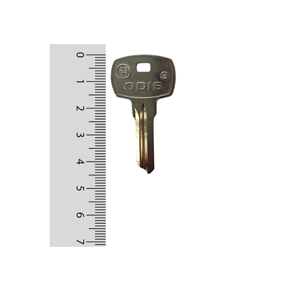 Paleta 2-E40 Odis - 50 unidades