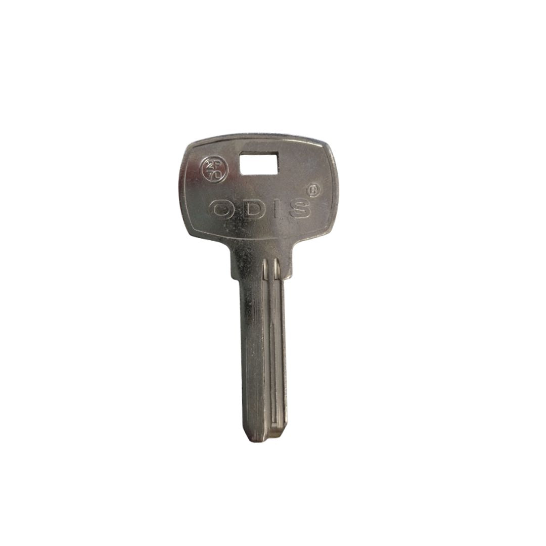 Paleta 2-P70 Odis - 10 unidades