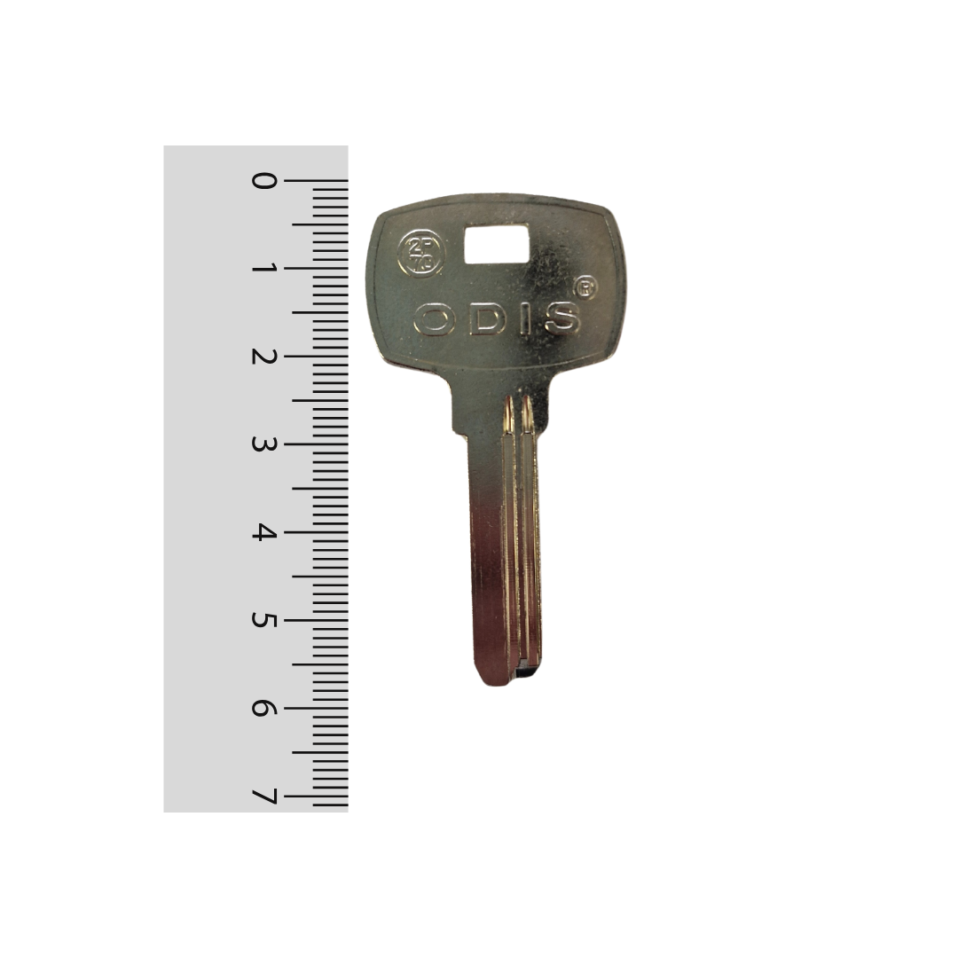 Paleta 2-P70 Odis - 10 unidades