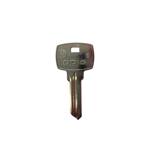 Paleta 3-E50 Odis - 50 unidades