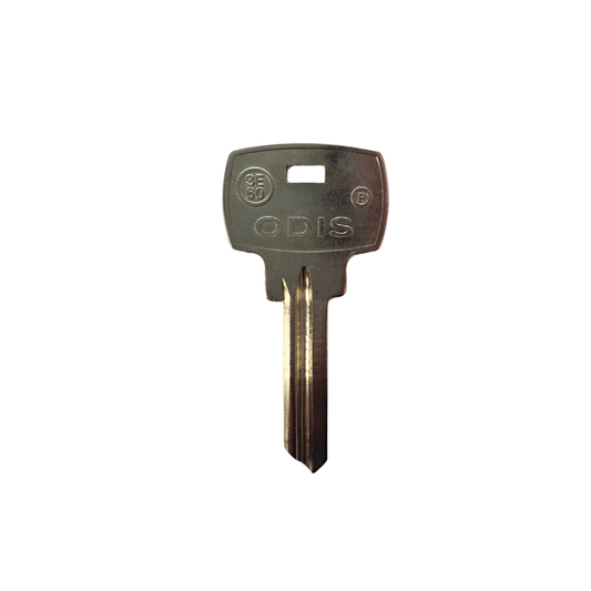 Paleta 3-E60 Odis - 50 unidades