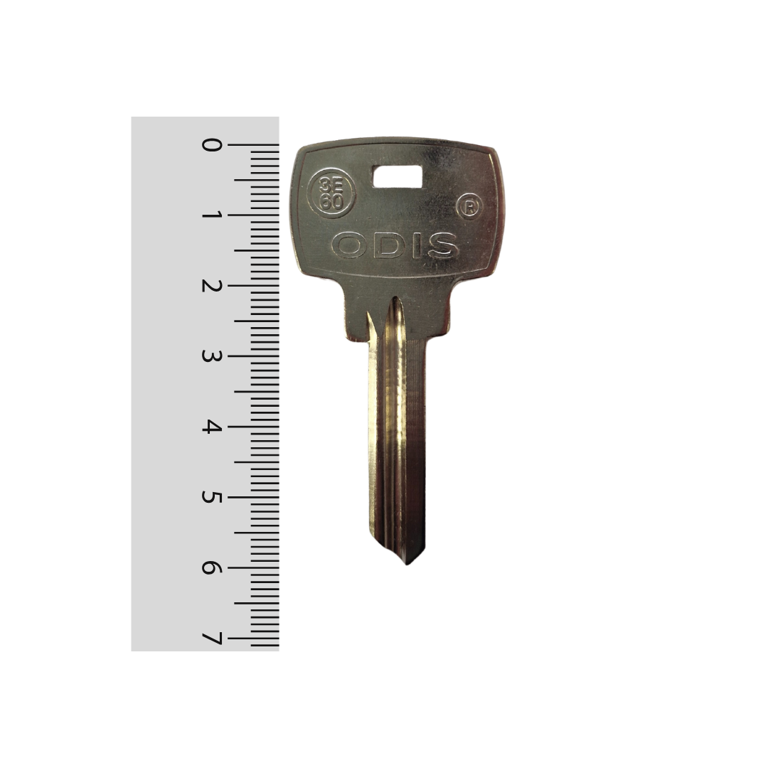 Paleta 3-E60 Odis - 50 unidades