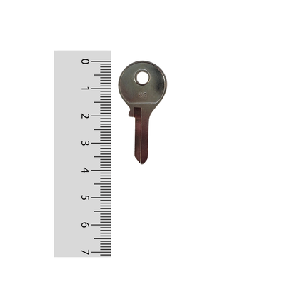 Paleta KG Odis - 50 unidades