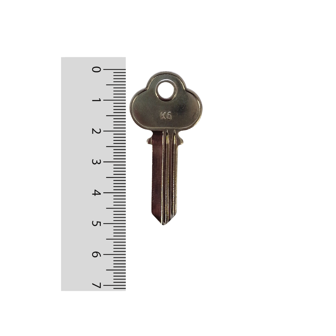 Paleta K6 Odis - 50 unidades