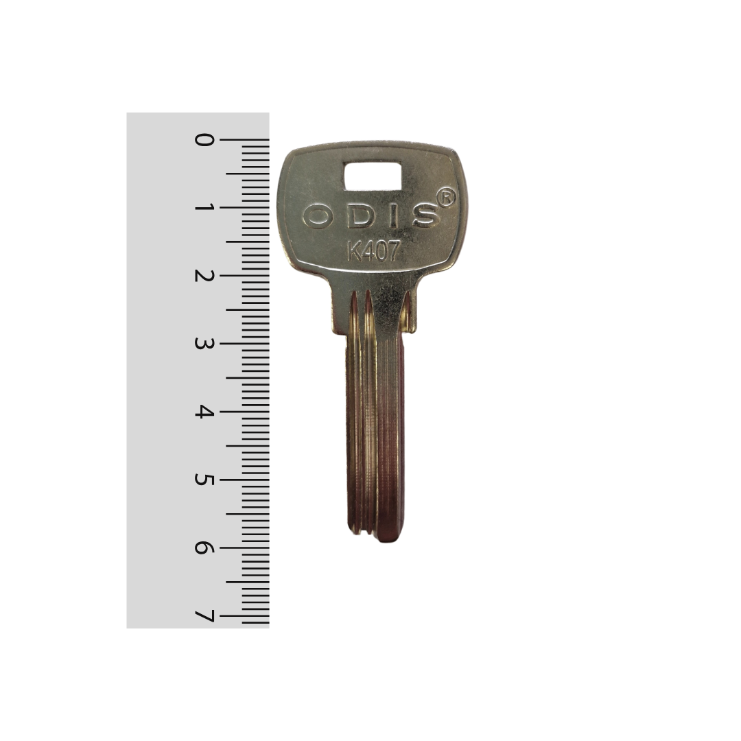 Paleta K407 Odis - 10 unidades