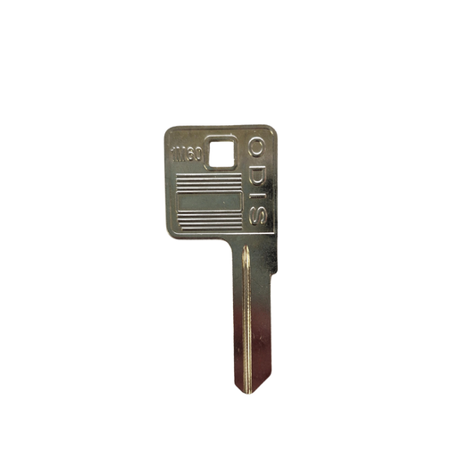 Paleta Odis 1M60 - 10 unidades