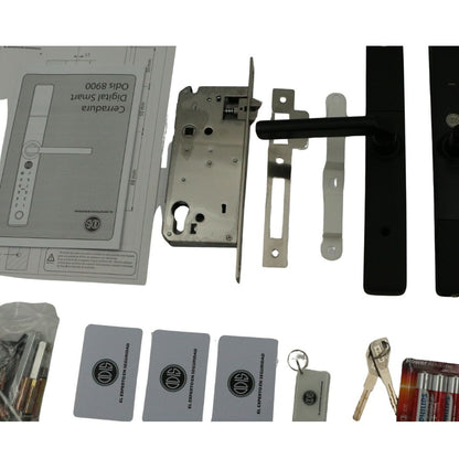 Pack Digitalízate ODIS SMART 8900: 2 Cerraduras + 1 Hub